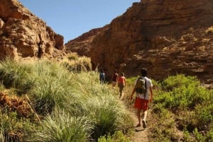 Purilibre: Trekking with Ancient Cacti and Medicinal Waters