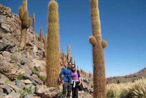 Purilibre: Trekking with Ancient Cacti and Medicinal Waters