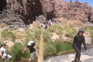 Purilibre: Trekking with Ancient Cacti and Medicinal Waters