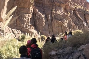 Purilibre: Trekking with Ancient Cacti and Medicinal Waters