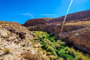 Purilibre: Trekking with Ancient Cacti and Medicinal Waters