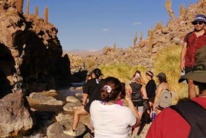 Purilibre: Trekking with Ancient Cacti and Medicinal Waters