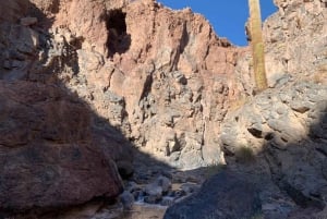 Purilibre: Trekking with Ancient Cacti and Medicinal Waters