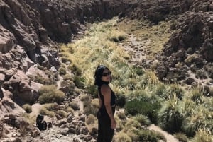 Purilibre: Trekking with Ancient Cacti and Medicinal Waters