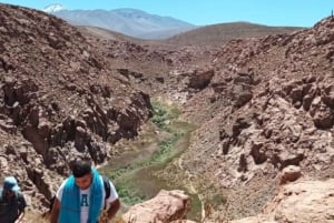 Purilibre: Trekking with Ancient Cacti and Medicinal Waters