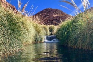 Puritama Hot Springs: Medicinal Thermal Experience