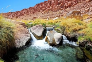 Puritama Hot Springs: Medicinal Thermal Experience