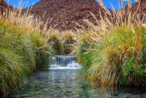 Thermalquellen von Puritama – Tour: San Pedro de Atacama – Chile