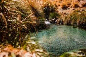 Termas de Puritama - Excursión : San Pedro de Atacama - Chile