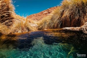 Termas de Puritama - Excursión : San Pedro de Atacama - Chile