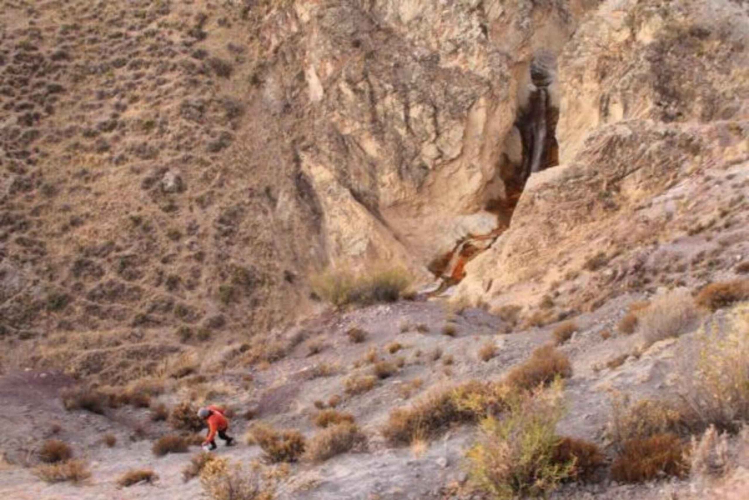 Putre: Trekking jurajskim wąwozem z obserwacją dzikich zwierząt