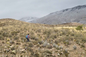 Putre: Trekking jurajskim wąwozem z obserwacją dzikich zwierząt