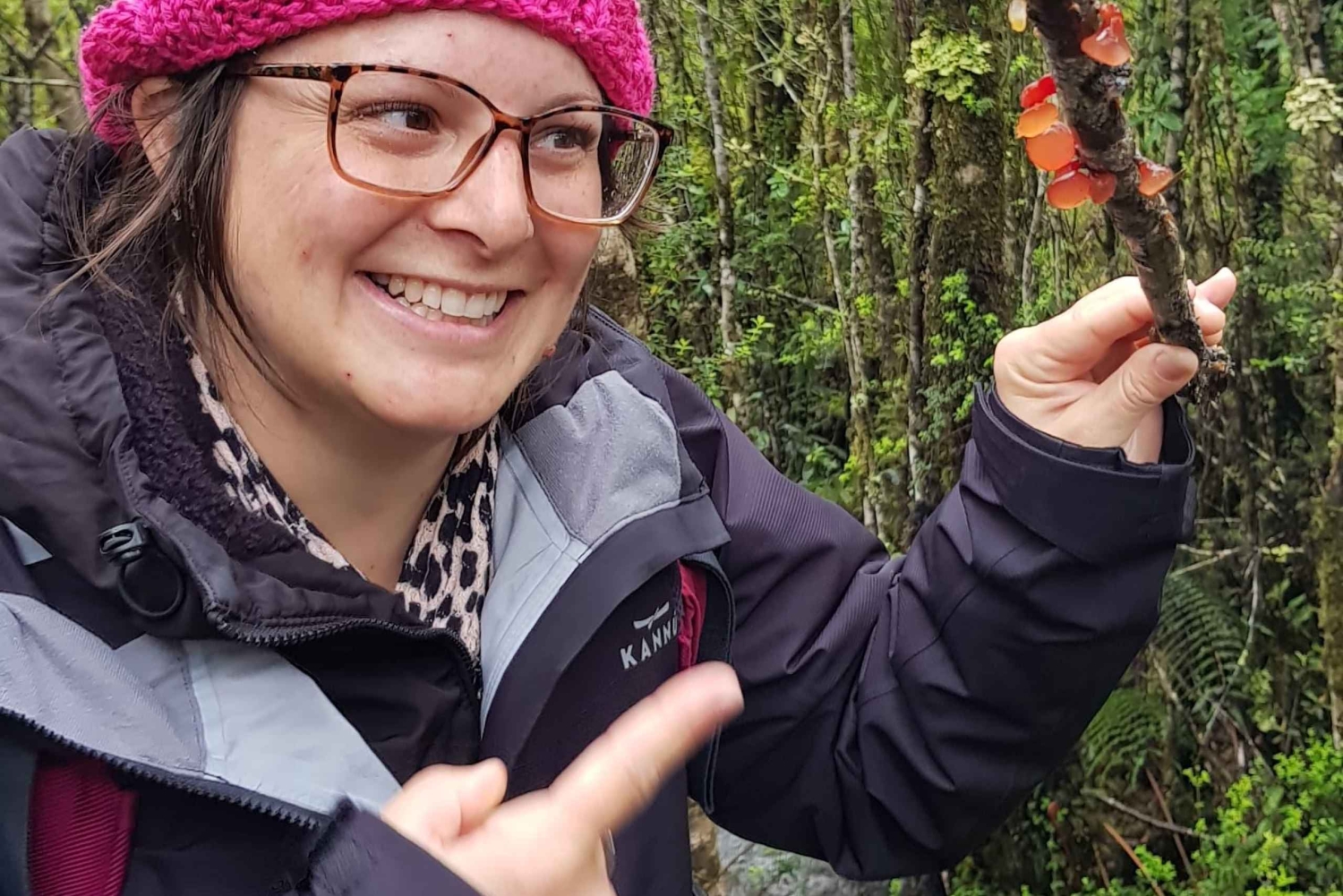 Queulat - Puyuhuapi tur