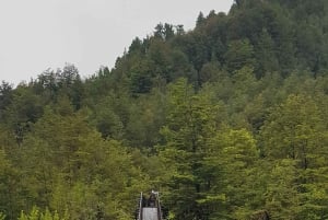 Queulat - Puyuhuapi tur