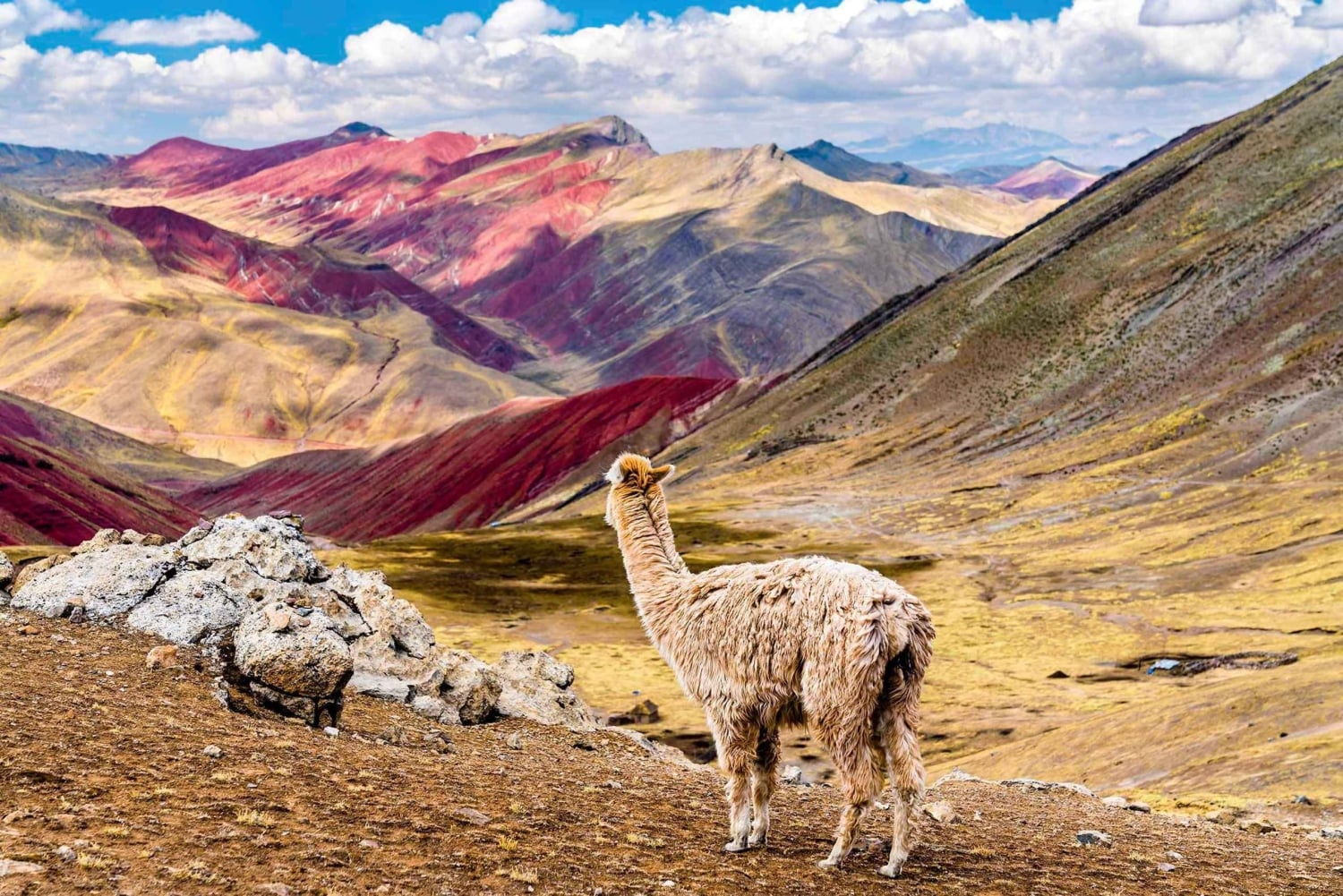 Rainbow Valley: Eine Reise voller Farben und Naturwunder