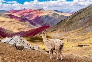 Rainbow Valley: Eine Reise voller Farben und Naturwunder