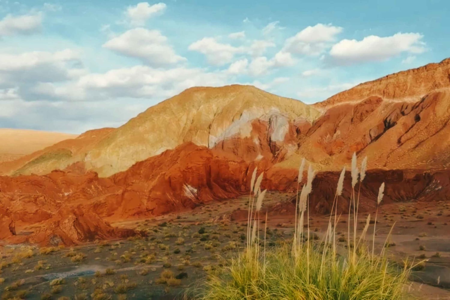 Visite de la vallée de l'arc-en-ciel : Couleurs et saveurs envoûtantes