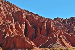 Regenboogvallei Tour + Petroglyfen (Yerbas Buenas)