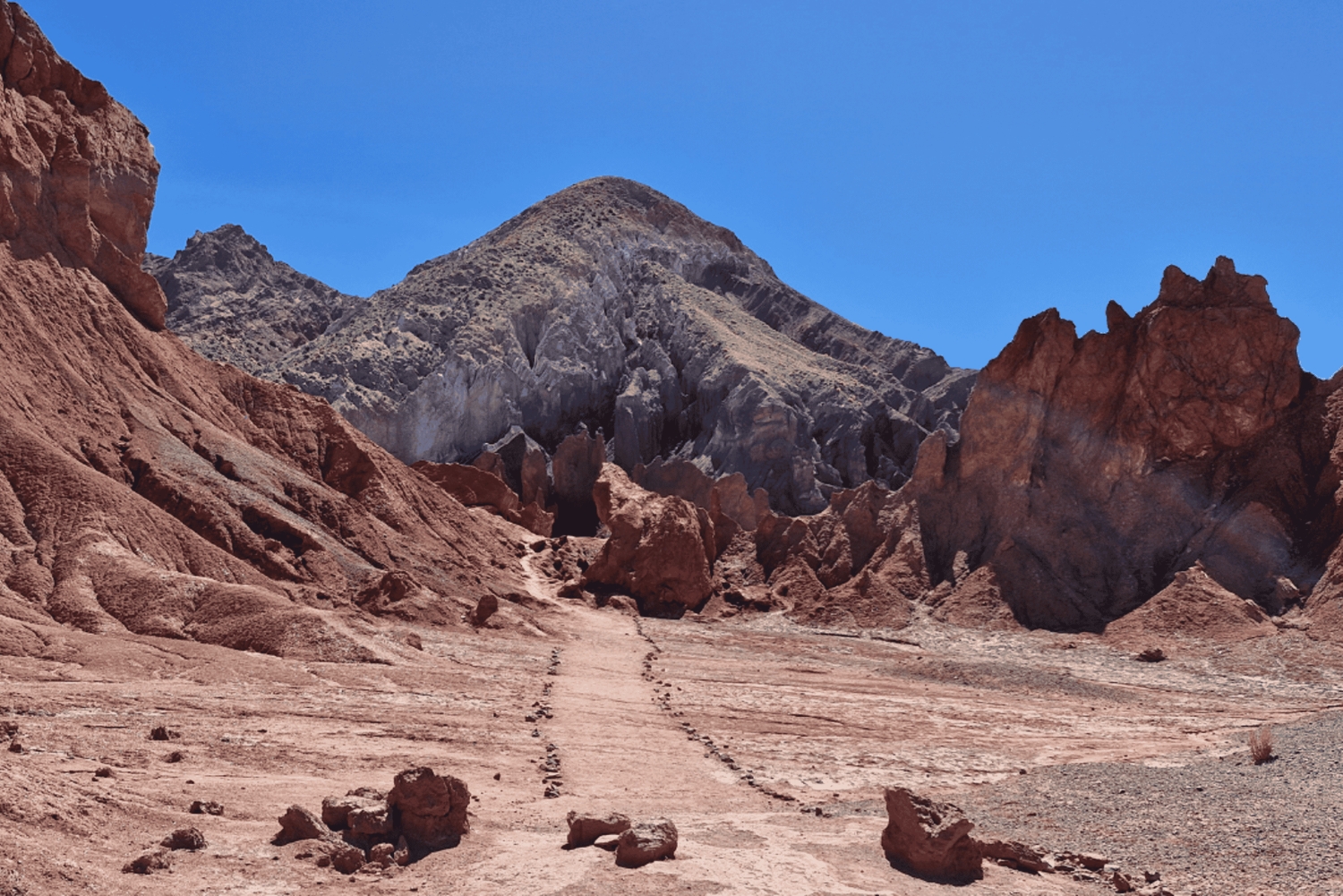 Rainbow Valley: Tour mit Petroglyphen, Rainbow Canyon und Cascada Seca.