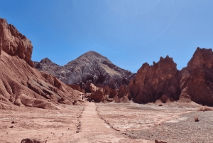 Rainbow Valley: Tour mit Petroglyphen, Rainbow Canyon und Cascada Seca.