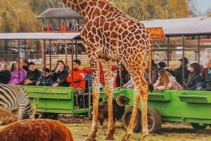Santiago:Tour Parque Safari