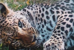 Santiago:Tour Parque Safari