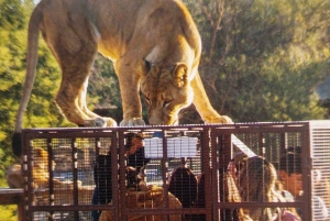 Santiago:Tour Parque Safari