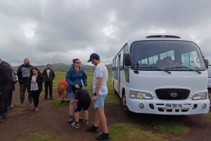 Rapa Nui: 3 Excursions with Hotel Transfers