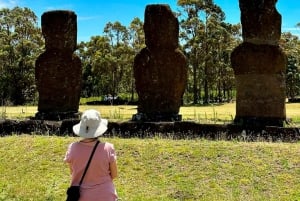 Rapa Nui: Privat rundtur 'Legenden om fågelmannen'