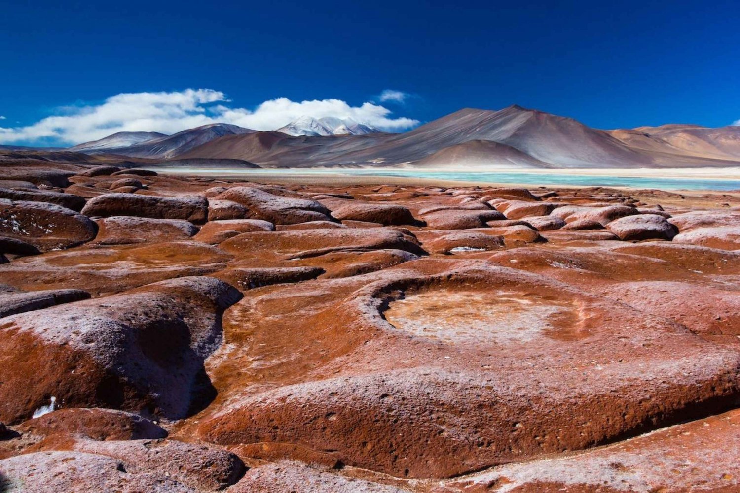 Red Stones, Altiplanic Lagoons and Chaxa (Atacama Saltflat)