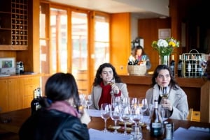 Experiência de Cavalo Fjord e Vinho em Odfjell, Vale do Maipo
