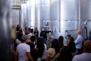 Experiência de Cavalo Fjord e Vinho em Odfjell, Vale do Maipo