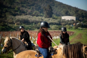 Ride & Wine Fjord Horse Experience bij Odfjell, Maipo Valley