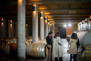 Ride & Wine Fjord Horse Experience bij Odfjell, Maipo Valley