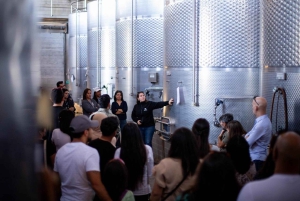 Ride & Wine Fjord Horse Experience bij Odfjell, Maipo Valley