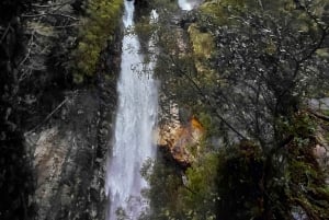 Tour Cascata Rio Blanco, Parco nazionale Hornopiren