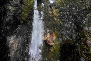 Touren Wasserfall Rio Blanco, Nationalpark Hornopiren
