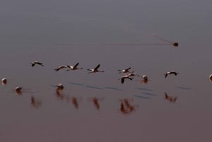 Aller-retour au salar d'Uyuni et aux lagunes colorées