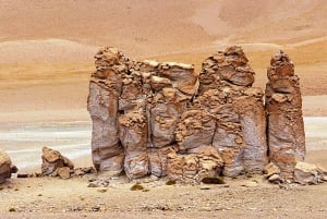 Ruta de los Salares - Tour guidato : San Pedro de Atacama - Cile