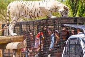 PARQUE SAFARI-TOUR RANCAGUA: CHILE