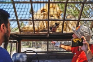 From Santiago: Safari Park, a wild experience