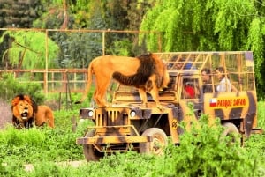 From Santiago: Safari Park, a wild experience