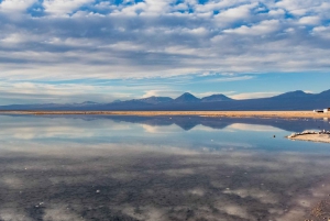 Salar de Atacama and altiplanic lagoons