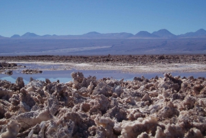 Salar de Atacama and altiplanic lagoons