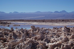 Salar de Atacama i laguny altiplaniczne