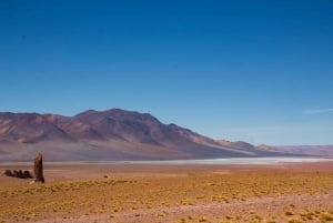 Salt Flats Expedition - Intimate Journey + Culinary Delights
