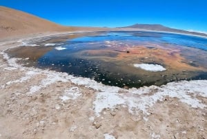 San Pedro to the Salt Flats Route - Atacama