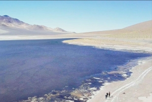 Ruta de los Salares: Det mest ekstreme i Atacama