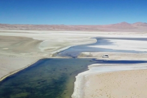 Ruta de los Salares: Det mest ekstreme i Atacama