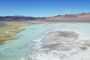 Ruta de los Salares: Det mest ekstreme i Atacama